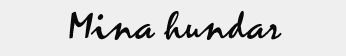Mina hundar